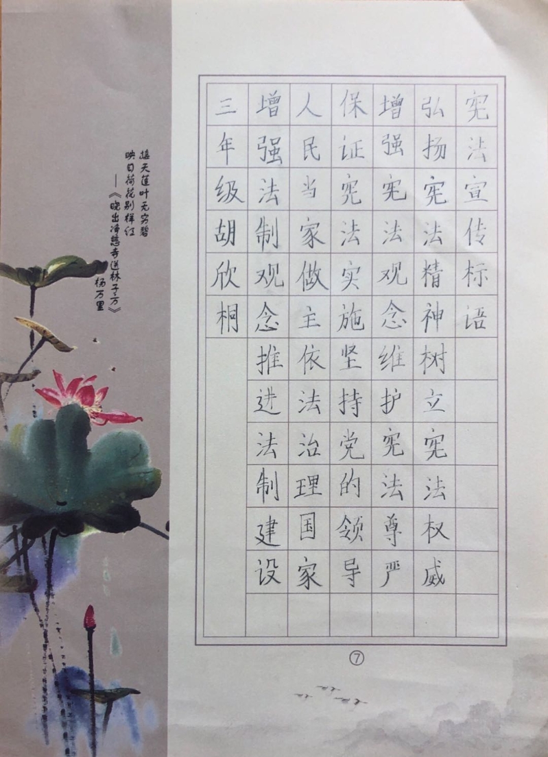 宪法在我身边之硬笔书法展