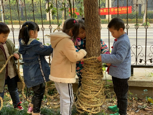 给大树过冬