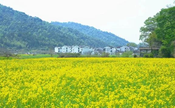 说明: image.png