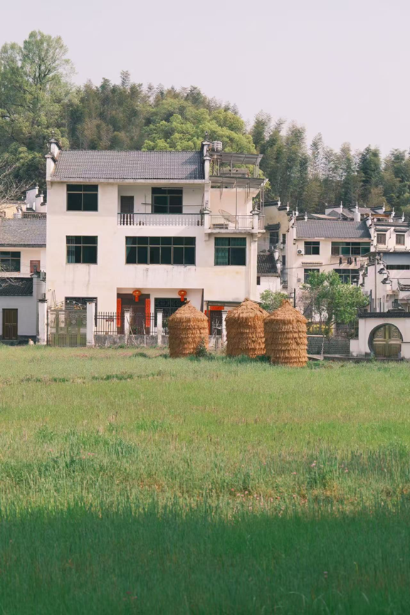 说明: image.png